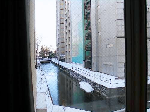 foto3