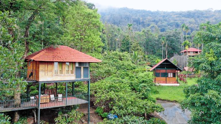 Avadale Wayanad Stag Groups Not Allowed