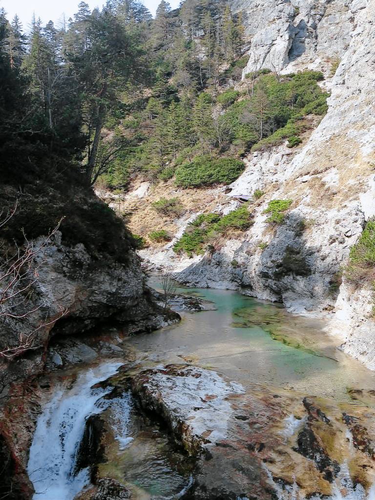 foto2