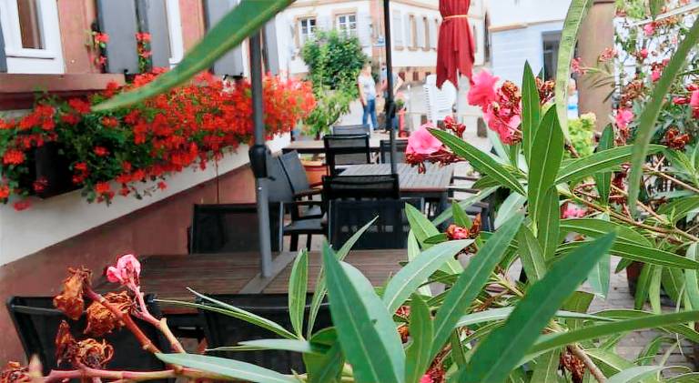 Gasthaus zur Sonne — photo 4