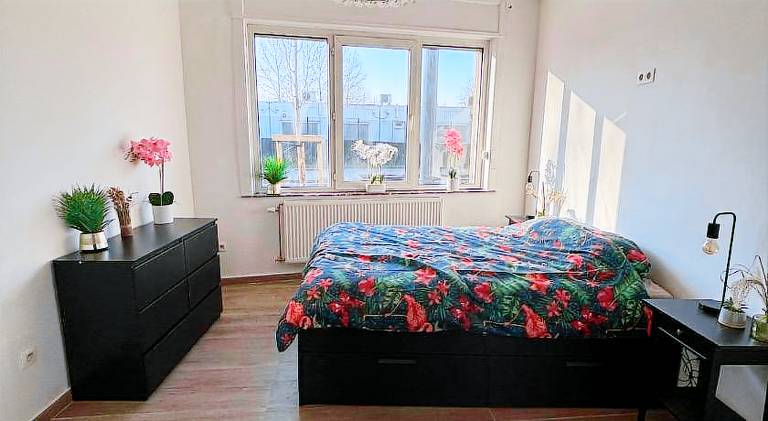 Nice holiday apartment | Dogs allowed — photo 5
