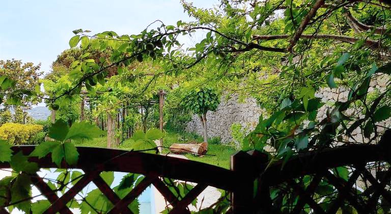 Pleasant house with garden, private pool & grill | Pets are welcome — photo 4