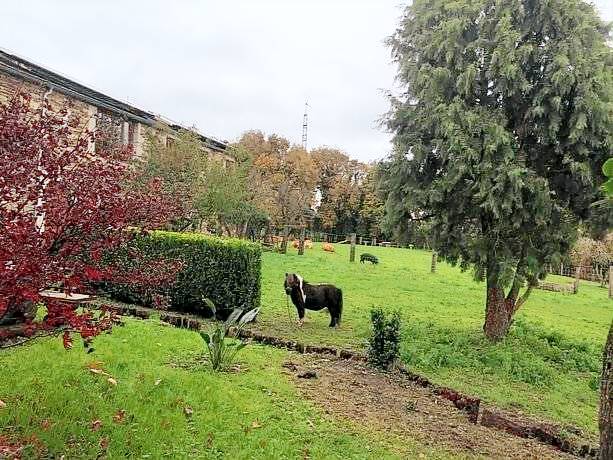 Bed & Breakfast  Meira
