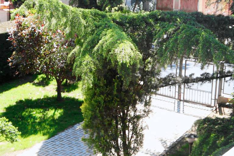 Rental apartment with terrace & yard | Nature view — photo 5