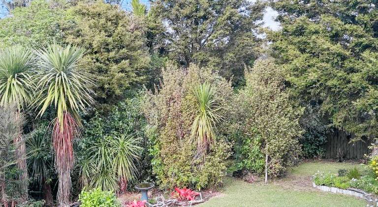 Bushy Retreat — photo 4