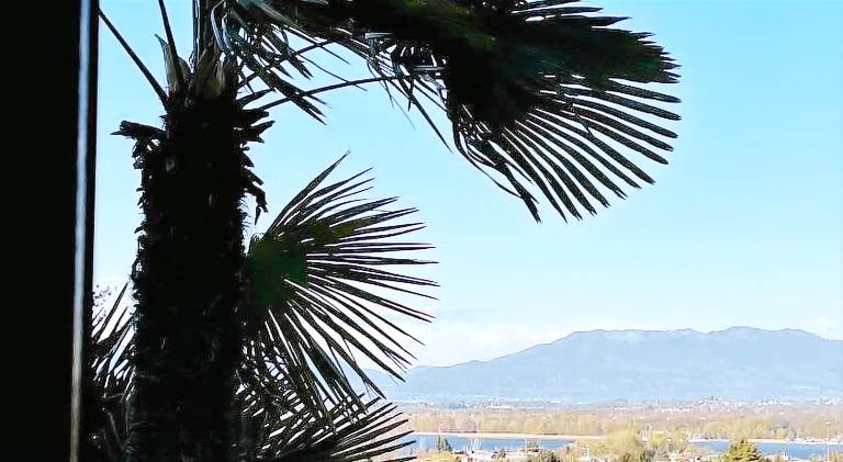 Holiday apartment | Perfect for remote work — photo 4