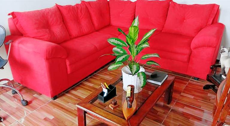 Wonderful apartment | Dogs allowed — photo 5