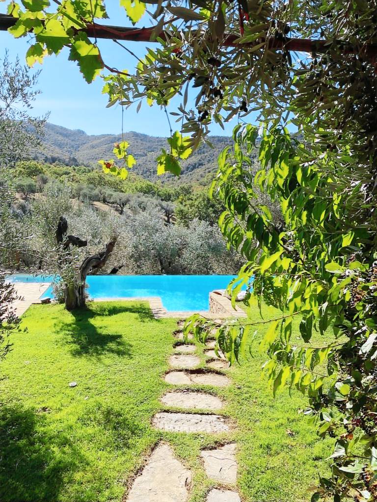 Farm with hot tub, barbeque & yard — photo 4
