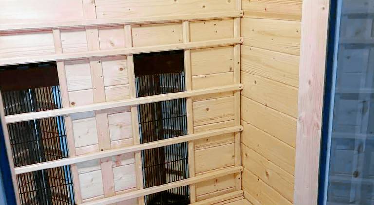 Waldblick Gastezimmer — photo 4