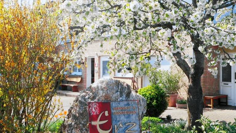 Ferienwohnung Brauneberg