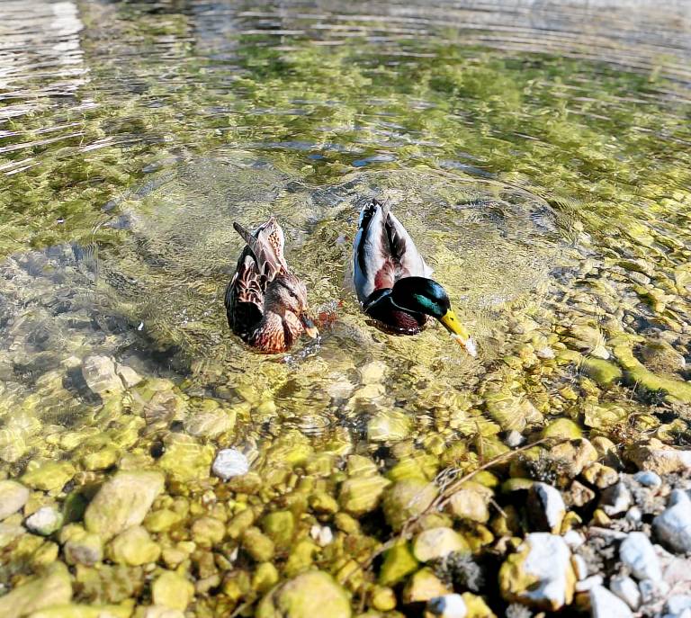 Ferienhaus in Scanno,  f&uuml;r max. 3 Personen