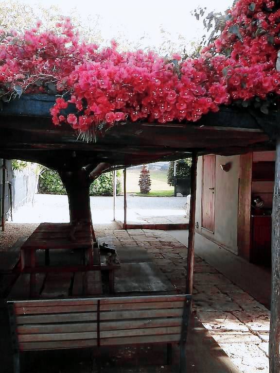 Chalet Maucini