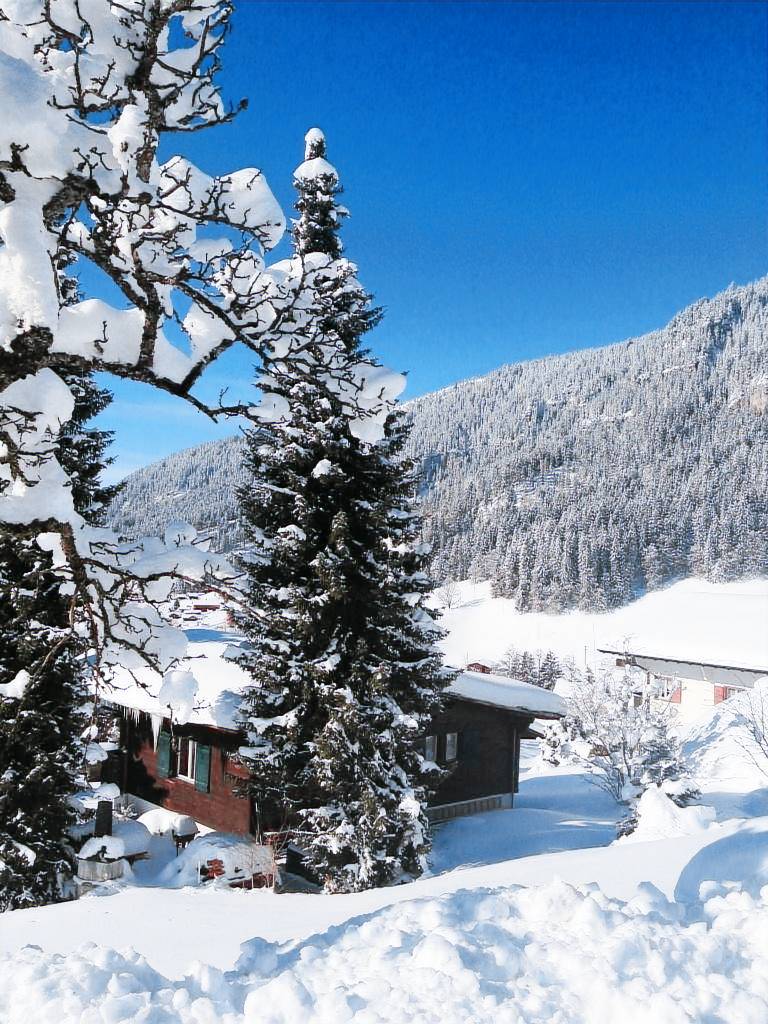 Ferienwohnung in Beatenberg f&uuml;r max. 5 Personen