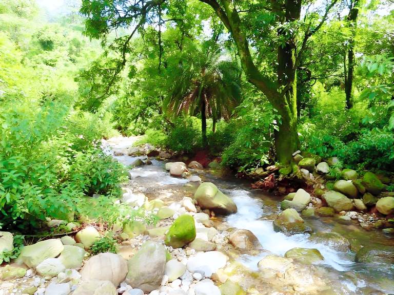 Vacation home with garden | Suitable for remote work — photo 5