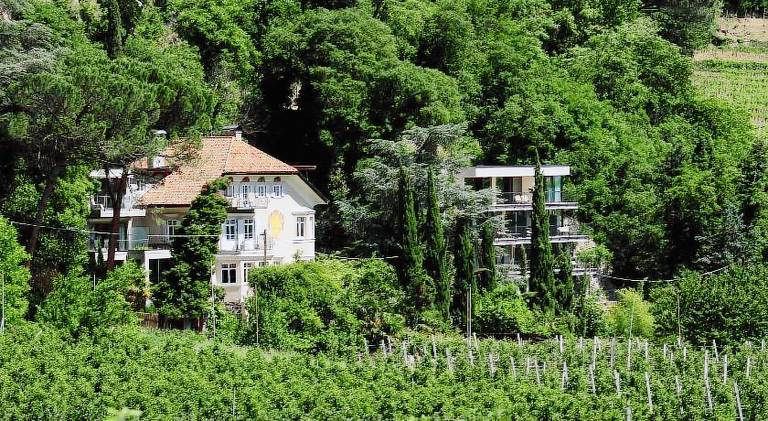 Wonderful serviced apartment with pool, yard & sauna | Pets allowed in Merano