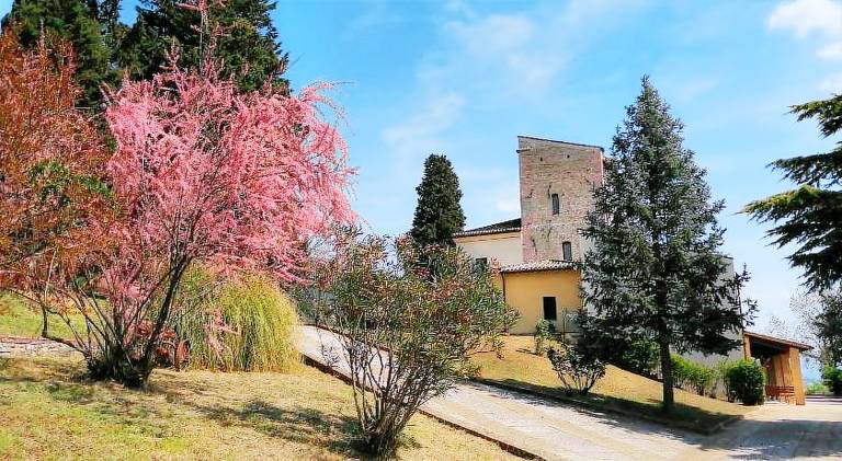 Beautiful farm | Pet-friendly in Assisi