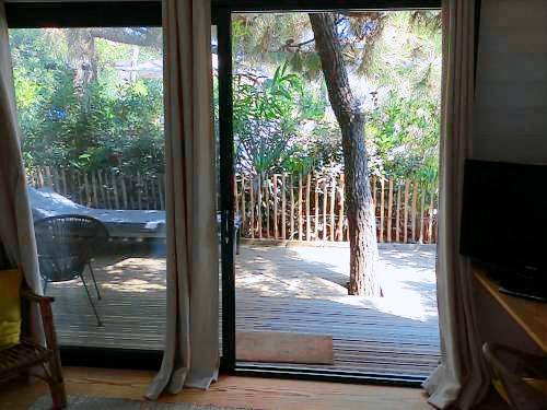 Cabane dans la verdure — photo 2