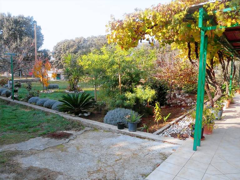 foto4