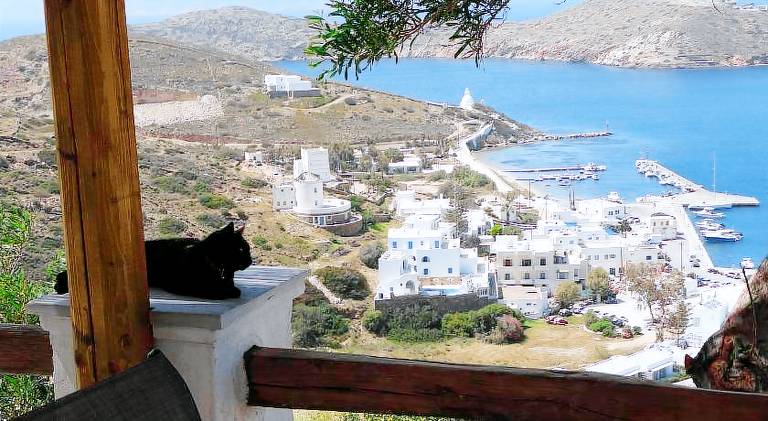 Rental apartment with terrace & yard | Pets are welcome — photo 4