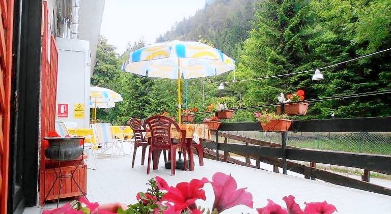 Lovely serviced apartment with yard & patio | Ski nearby | Pet-friendly — photo 3