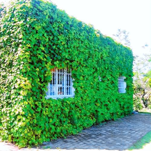 Bed and breakfast São Leopoldo