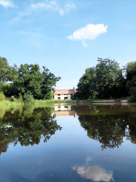 foto2