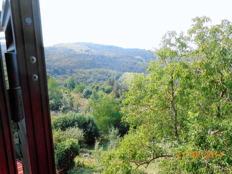 foto2