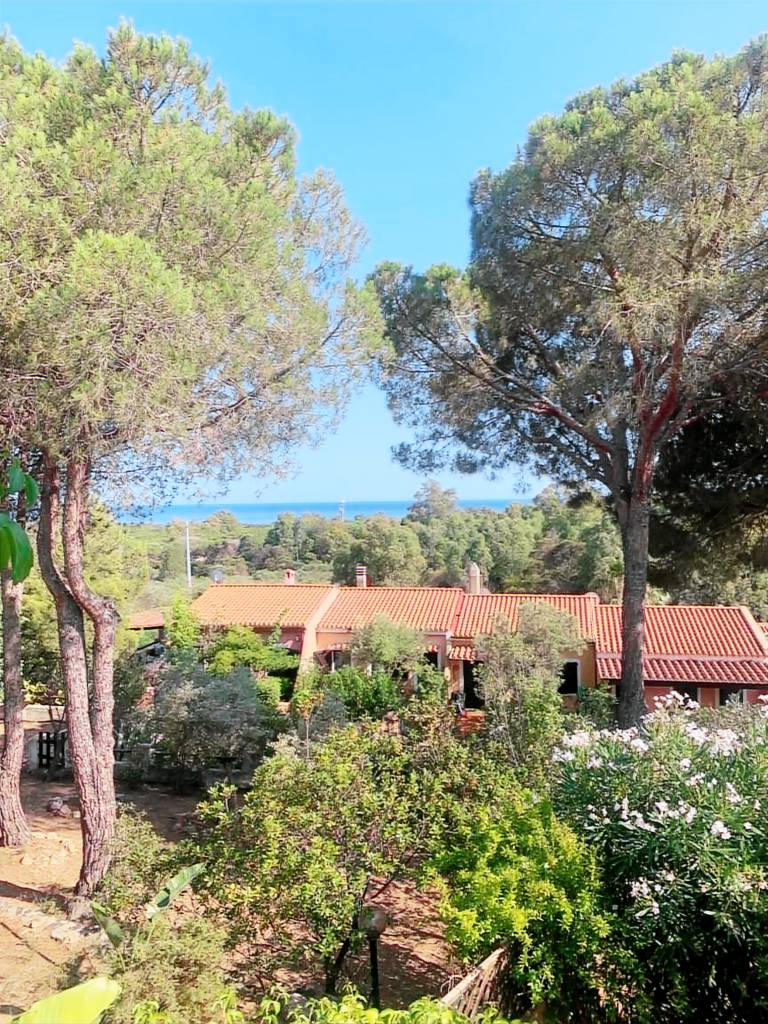 Apartment with pool, garden & barbeque | Garden view | Pets allowed — photo 3