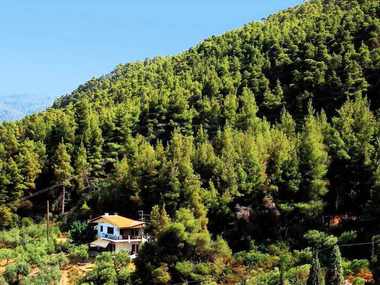 Appartamento Sithonia