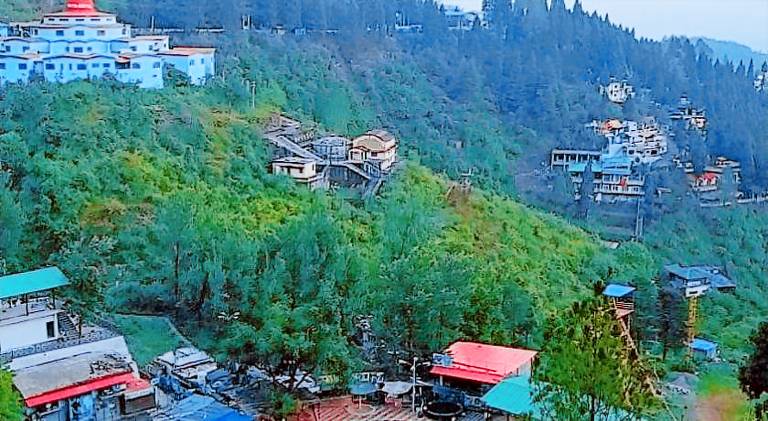 The Pine Villa Mussoorie — photo 3
