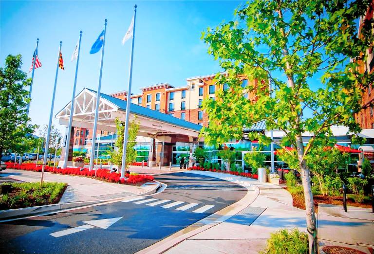 Homewood Suites by Hilton Rockville-Gaithersburg — photo 3
