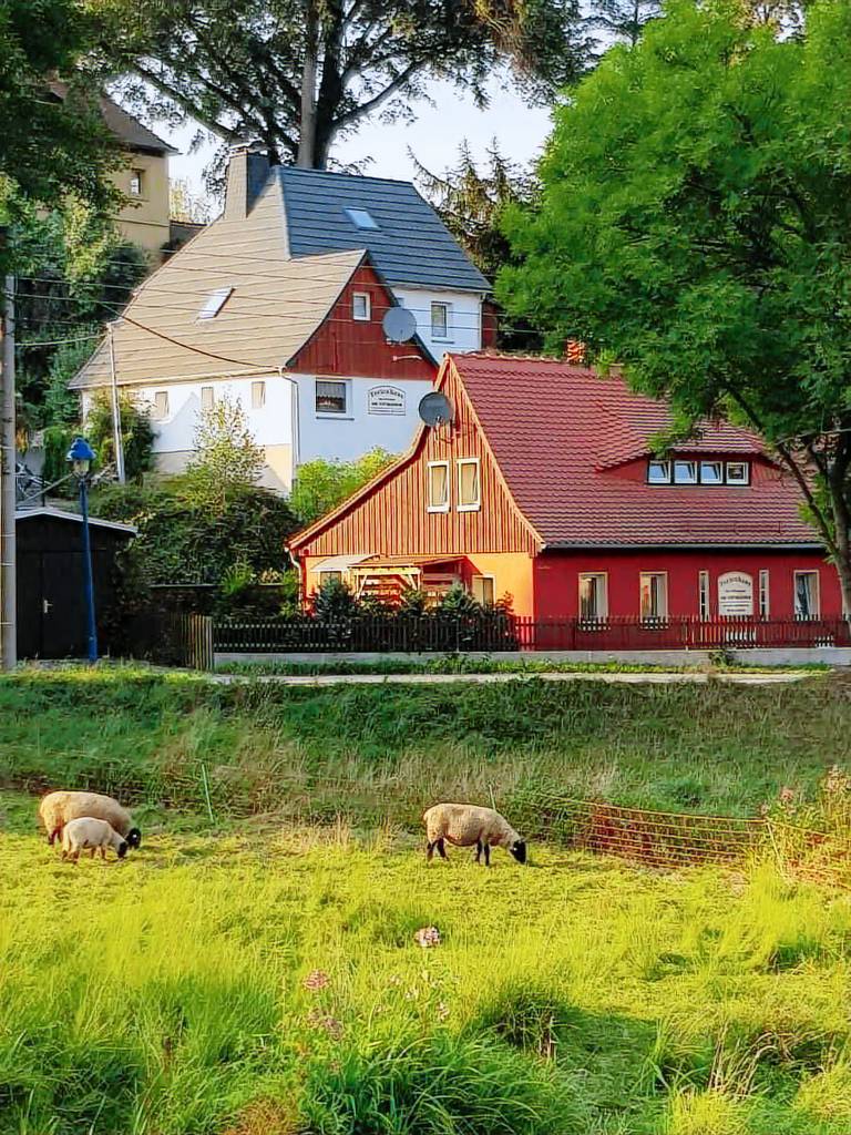 foto3