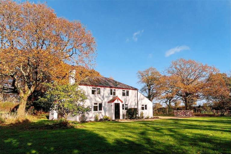 House with garden | Suitable for remote work | Pets allowed — photo 5