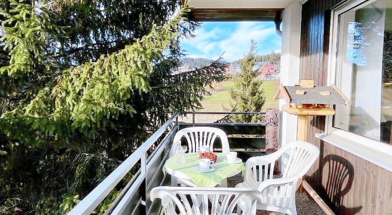 Charming rental apartment | Dogs allowed in Schluchsee