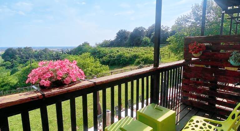 Farm with yard & terrace | Pets allowed — photo 4