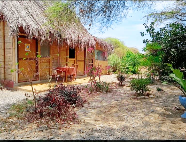 Wasi Center, Holistic and Mystic — photo 2