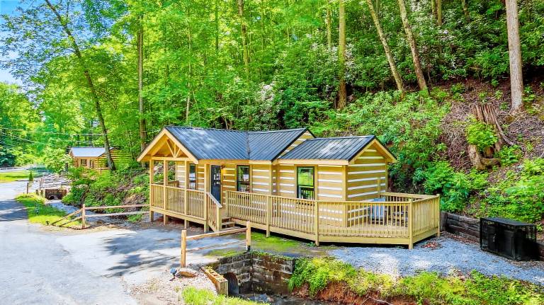 2Bdrm Cabin 4 Gburg Pet Friendly Firepit Games — photo 3