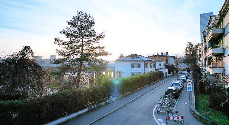 Spacious apartment | Pet-friendly — photo 3