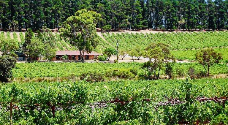 Huis McLaren Vale