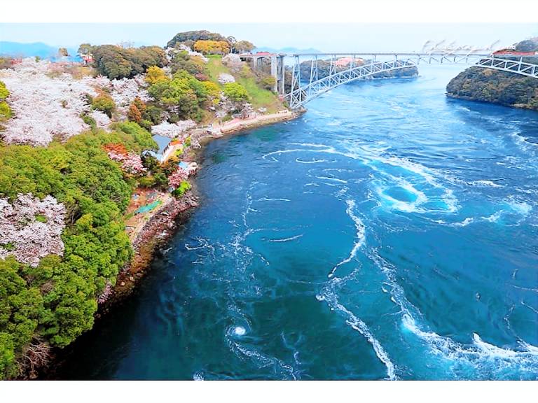 The Paradise Garden Sasebo