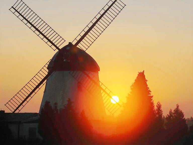 foto4