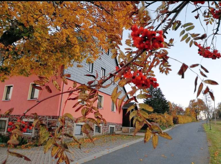 foto1