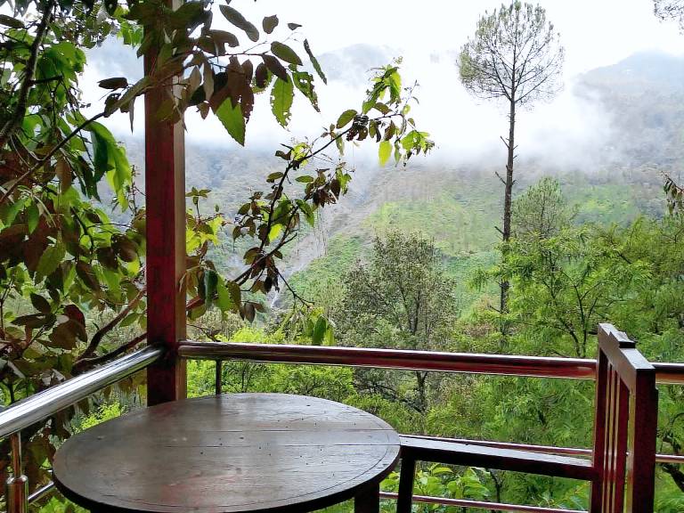 The Silent Valley along River Kalsa — photo 4