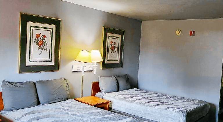 Pleasant holiday apartment | Pet-friendly — photo 2