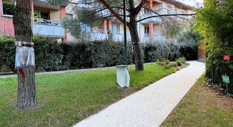 Loft Geek avec terrasse, piscine & parking - proche metro - Toulouse — photo 5