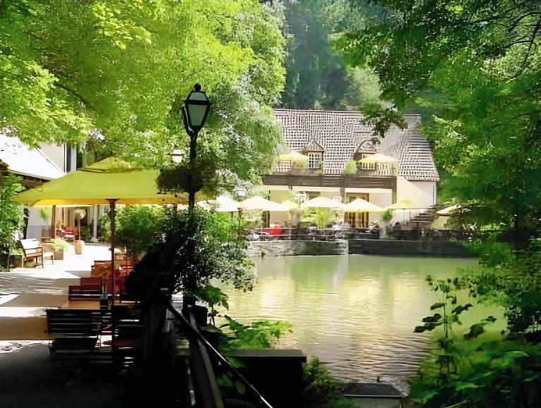 Waldhotel Silbermuhle in Horn-Bad Meinberg