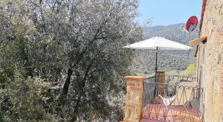 Rental apartment | Pets allowed in Scarlino