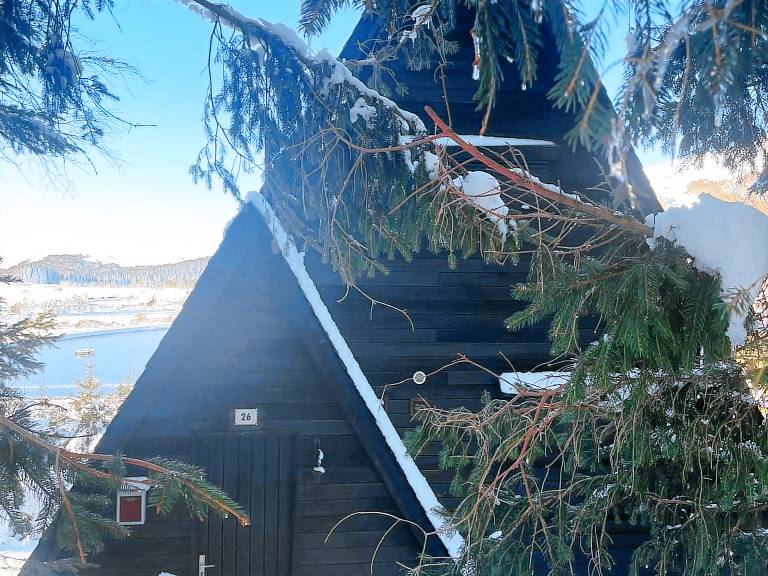 Chalet Besse-et-Saint-Anastaise