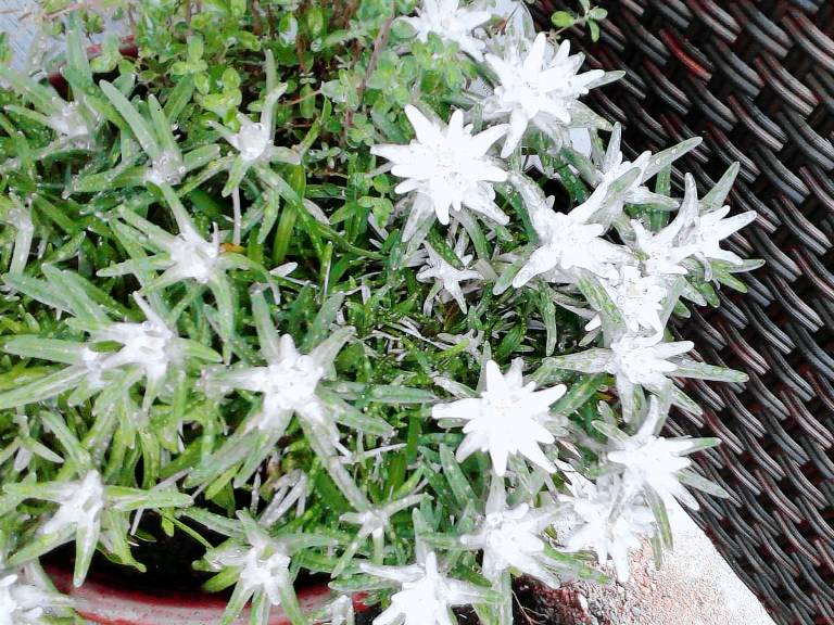 Ferienwohnung Oberjoch