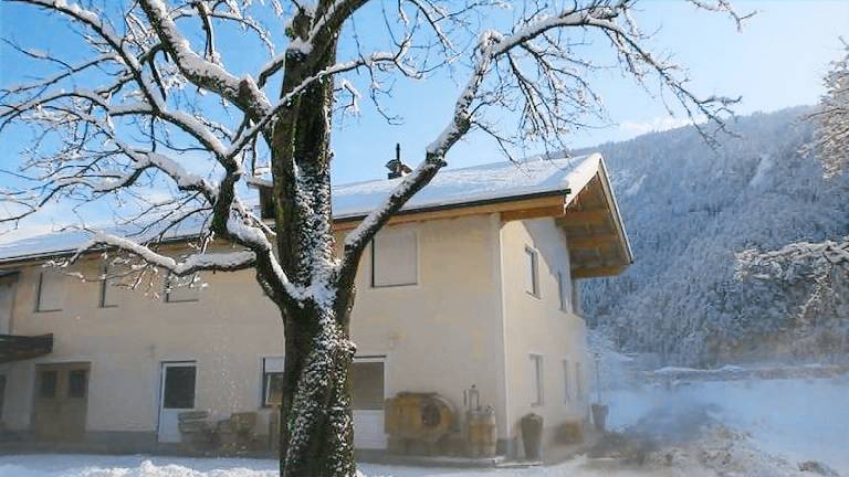 Ferienwohnung Reith im Alpbachtal